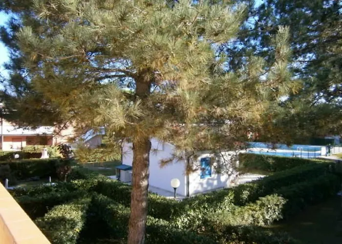 Azzurro 비비오네